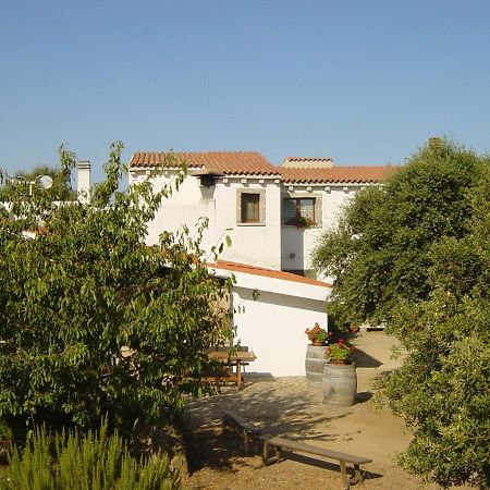 Agriturismo Vermentino Monti Bagian luar foto