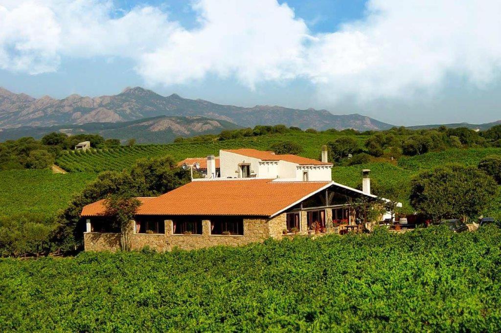 Agriturismo Vermentino Monti Bagian luar foto