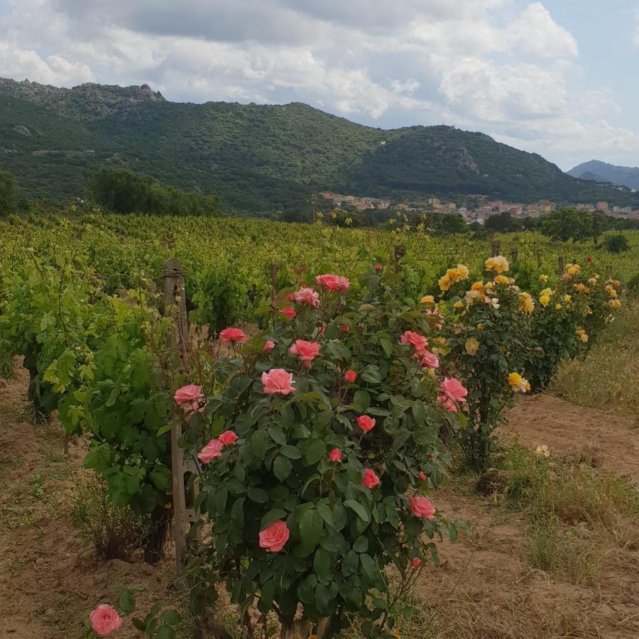 Agriturismo Vermentino Monti Bagian luar foto