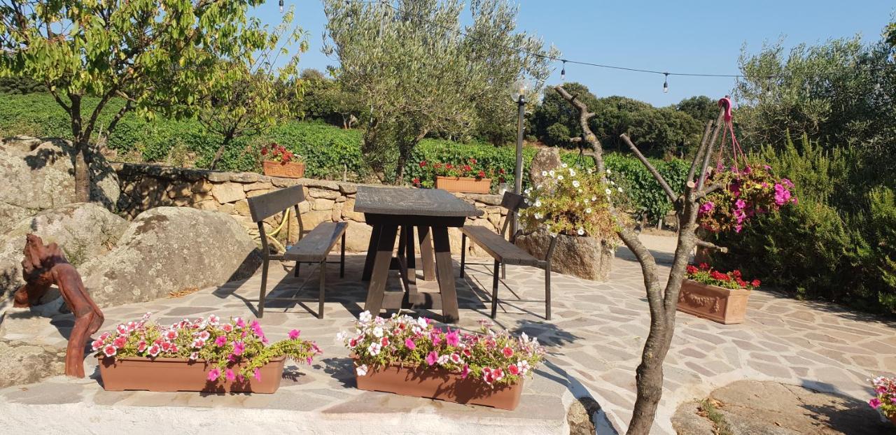 Agriturismo Vermentino Monti Bagian luar foto