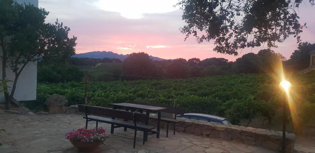 Agriturismo Vermentino Monti Bagian luar foto